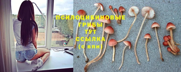 spice Аркадак