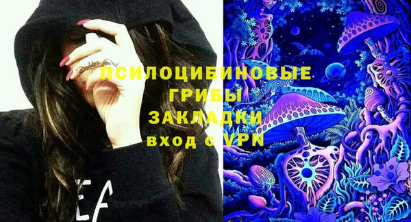 spice Аркадак