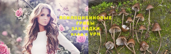 каннабис Арсеньев