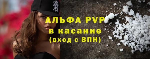 spice Аркадак